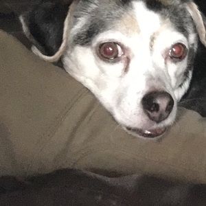 Meet your Posher, Janelle